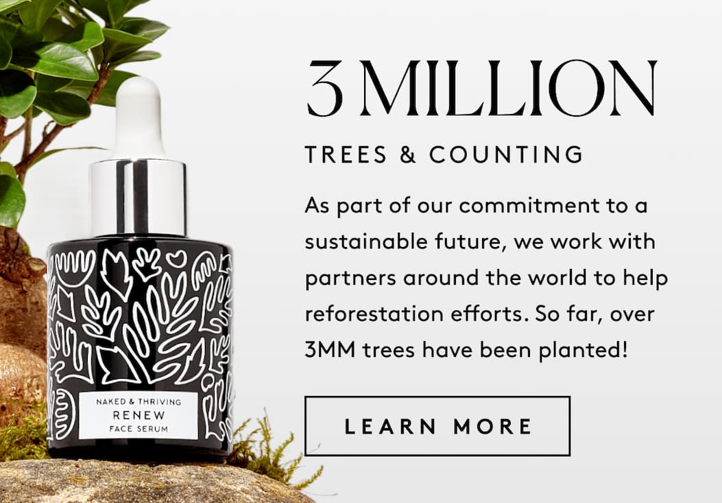 3 MILLION Trees & Counting