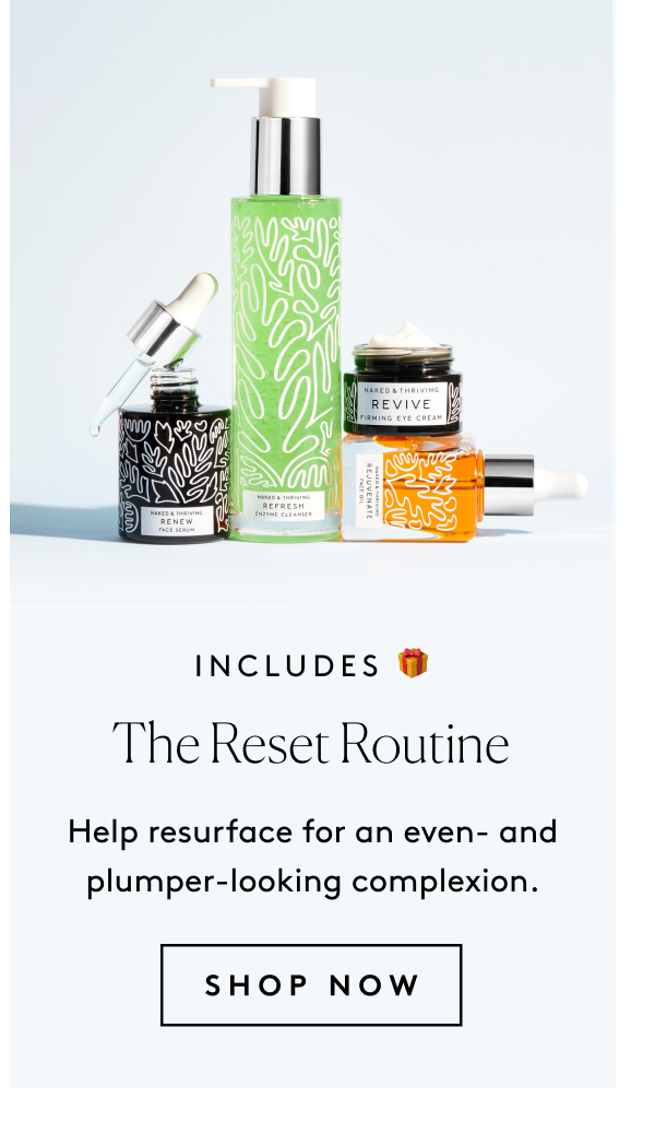 The Reset Routine