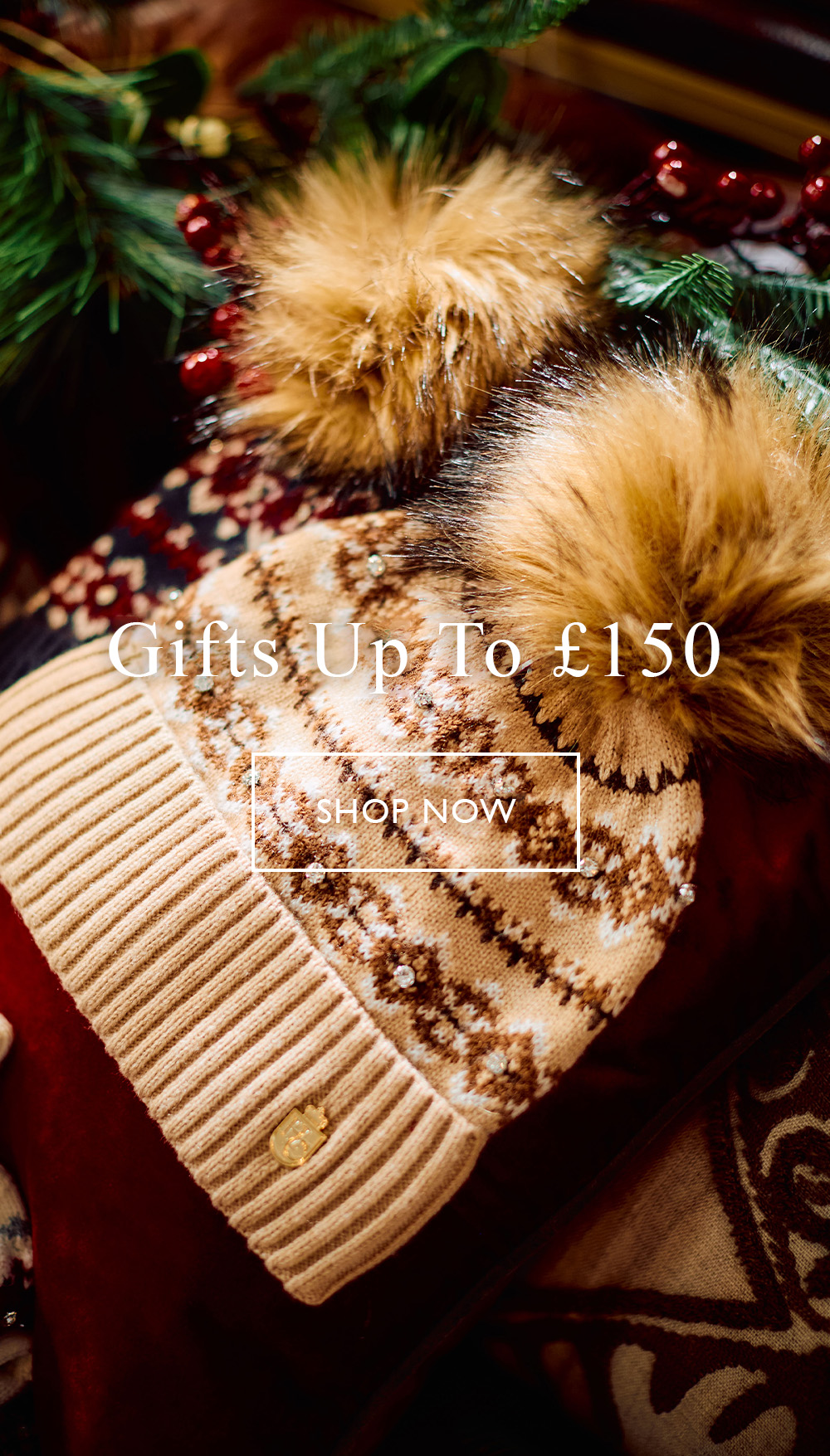 Shop Gifts Up To £150