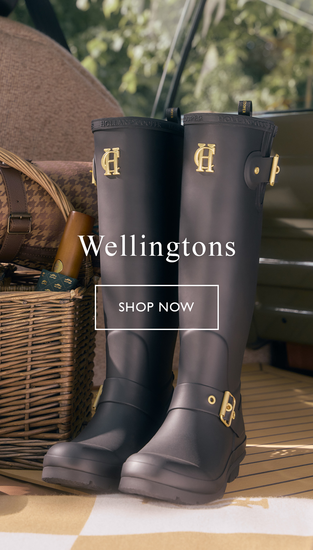 Wellingtons