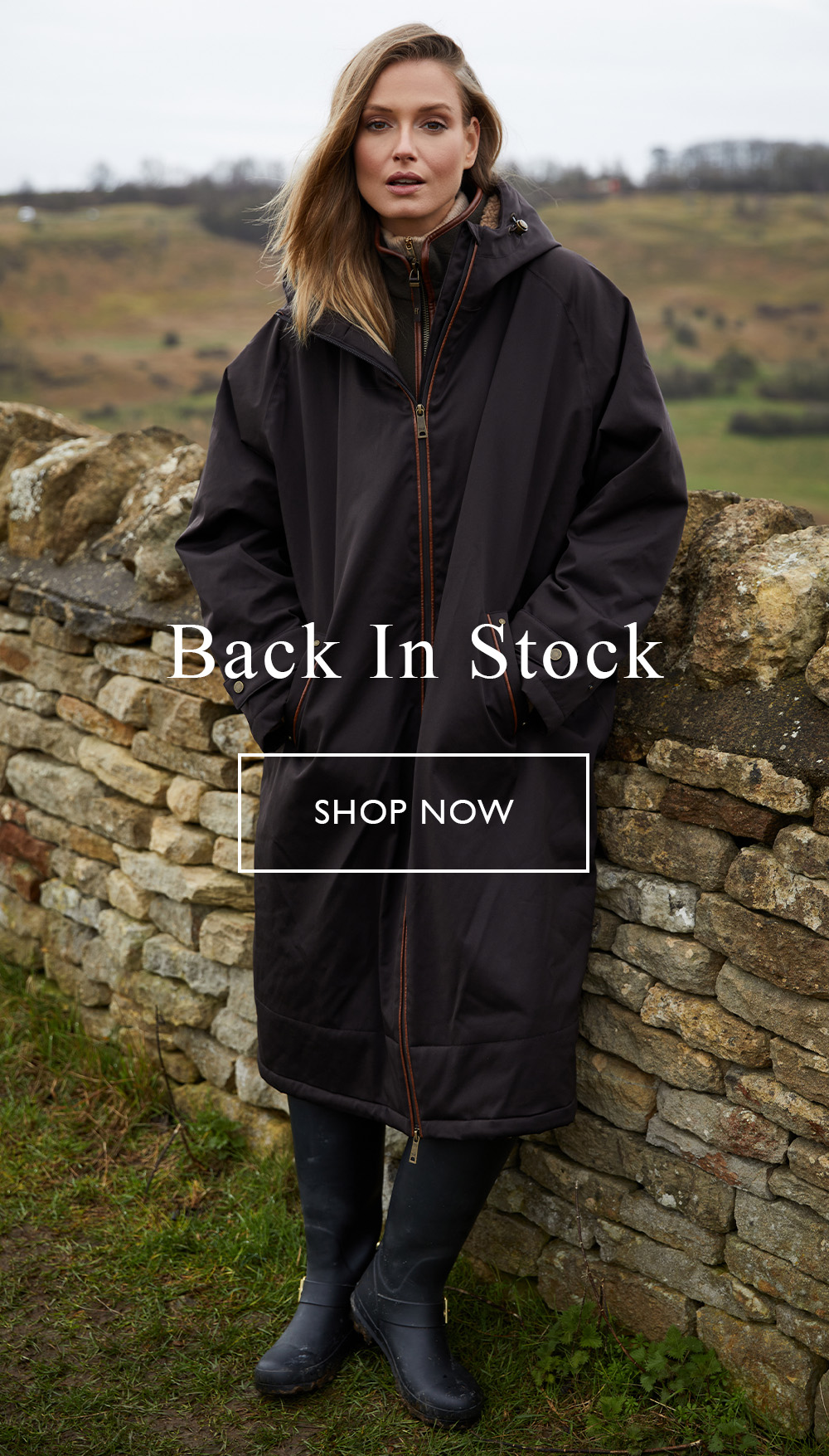 Back In Stock