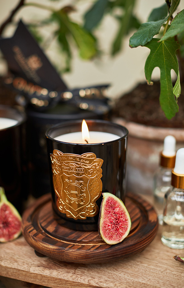 Single Wick Candle (Figue Noir)