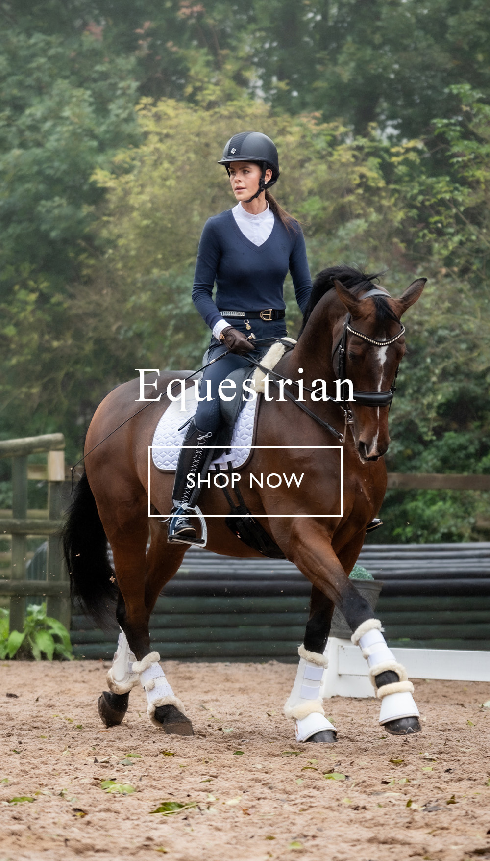 Equestrian