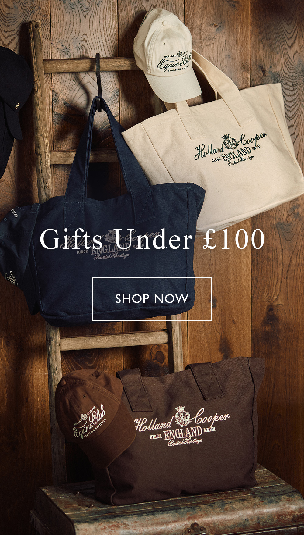 Gifts Under £100