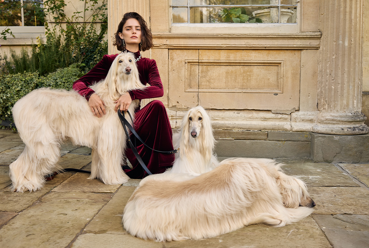 Holland Cooper: Shop Now