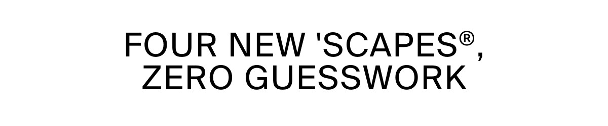 FOUR NEW 'SCAPES, ZERO GUESSWORK