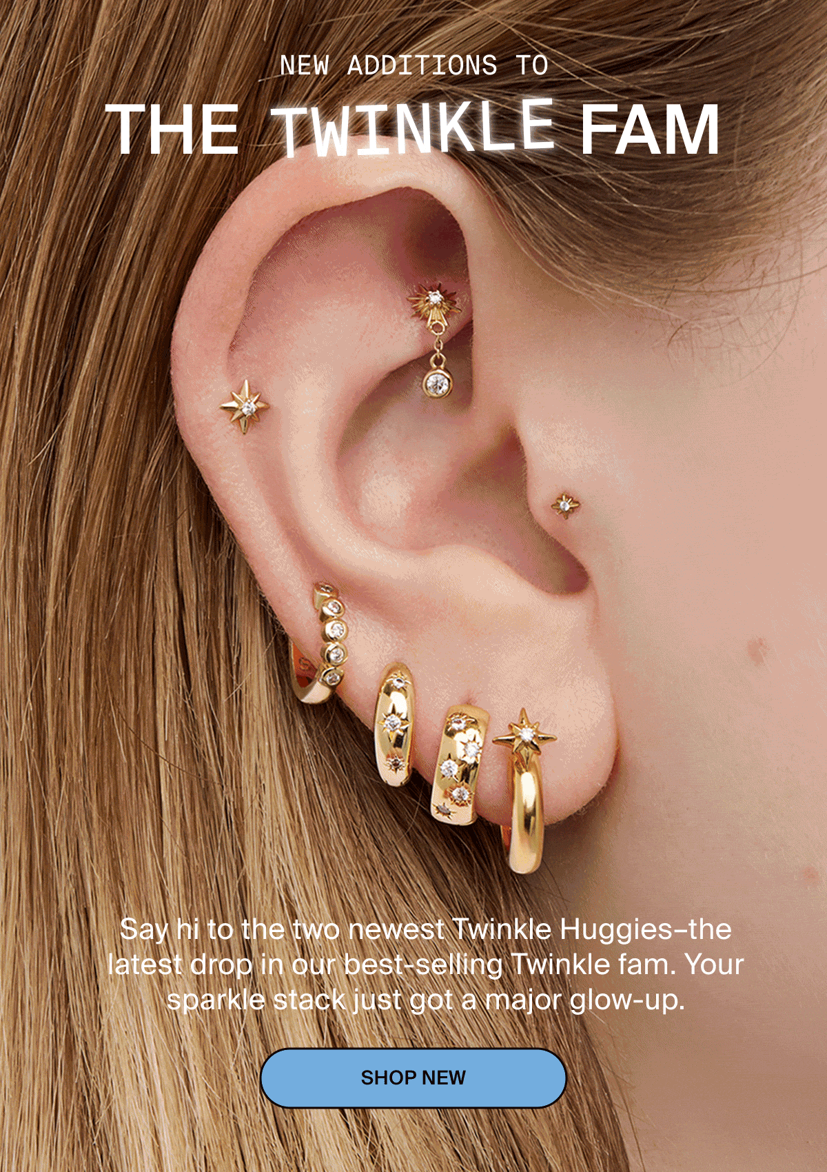 NEW ADDITIONS TO THE TWINKLE FAM