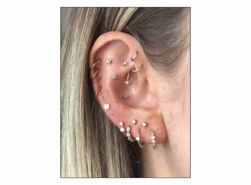 MEOW OR NEVER - SHOP THE CAT