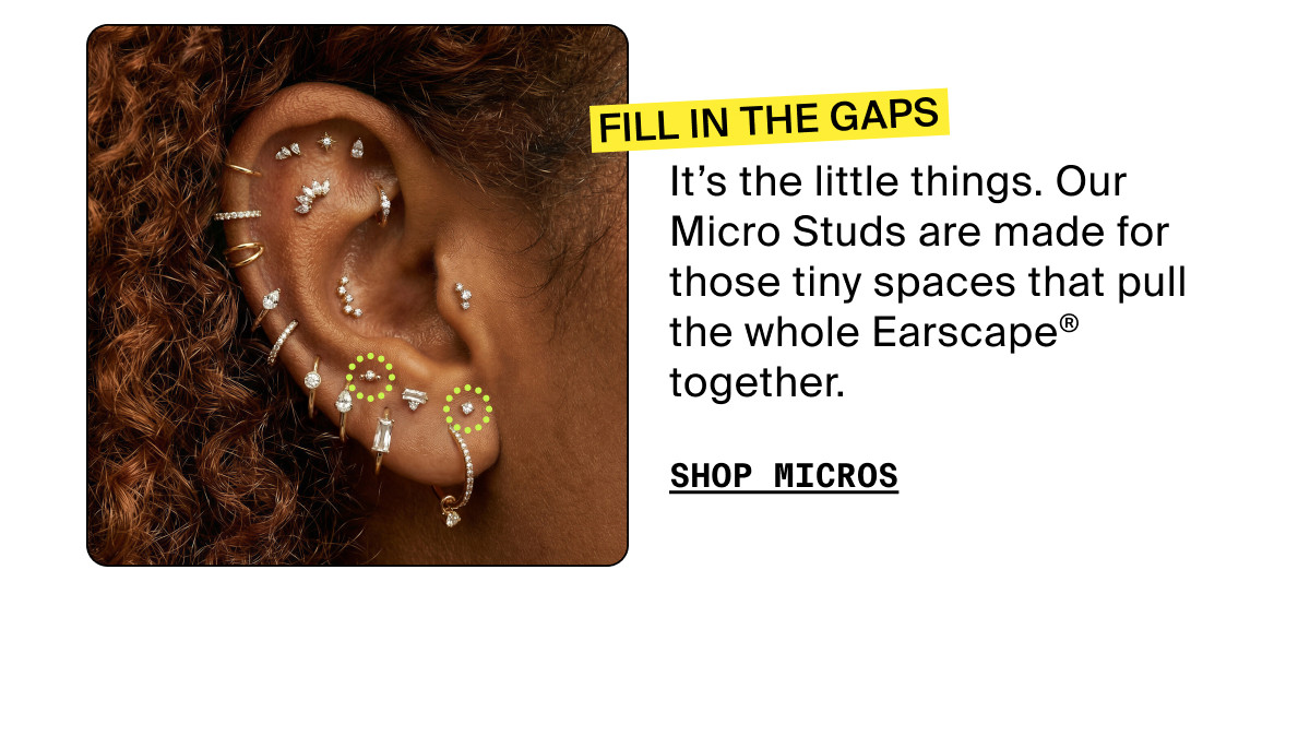 FILL IN THE GAPS - SHOP MICROS