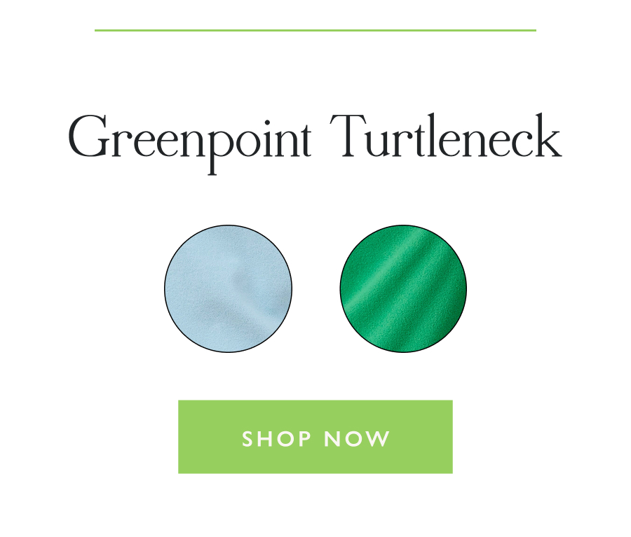 The Greenpoint Turtleneck  Shop now