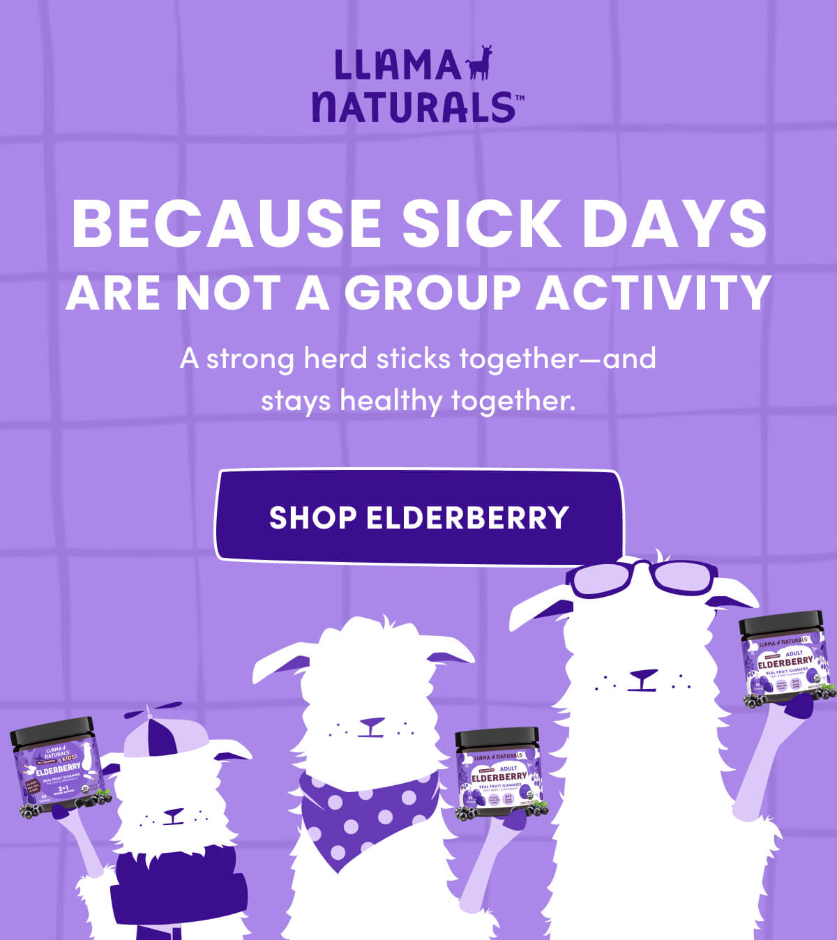Llama Naturals | Because Sick Days are not a Group Activity | A strong herd sticks together—and stays healthy together. | [ Shop Elderberry ]