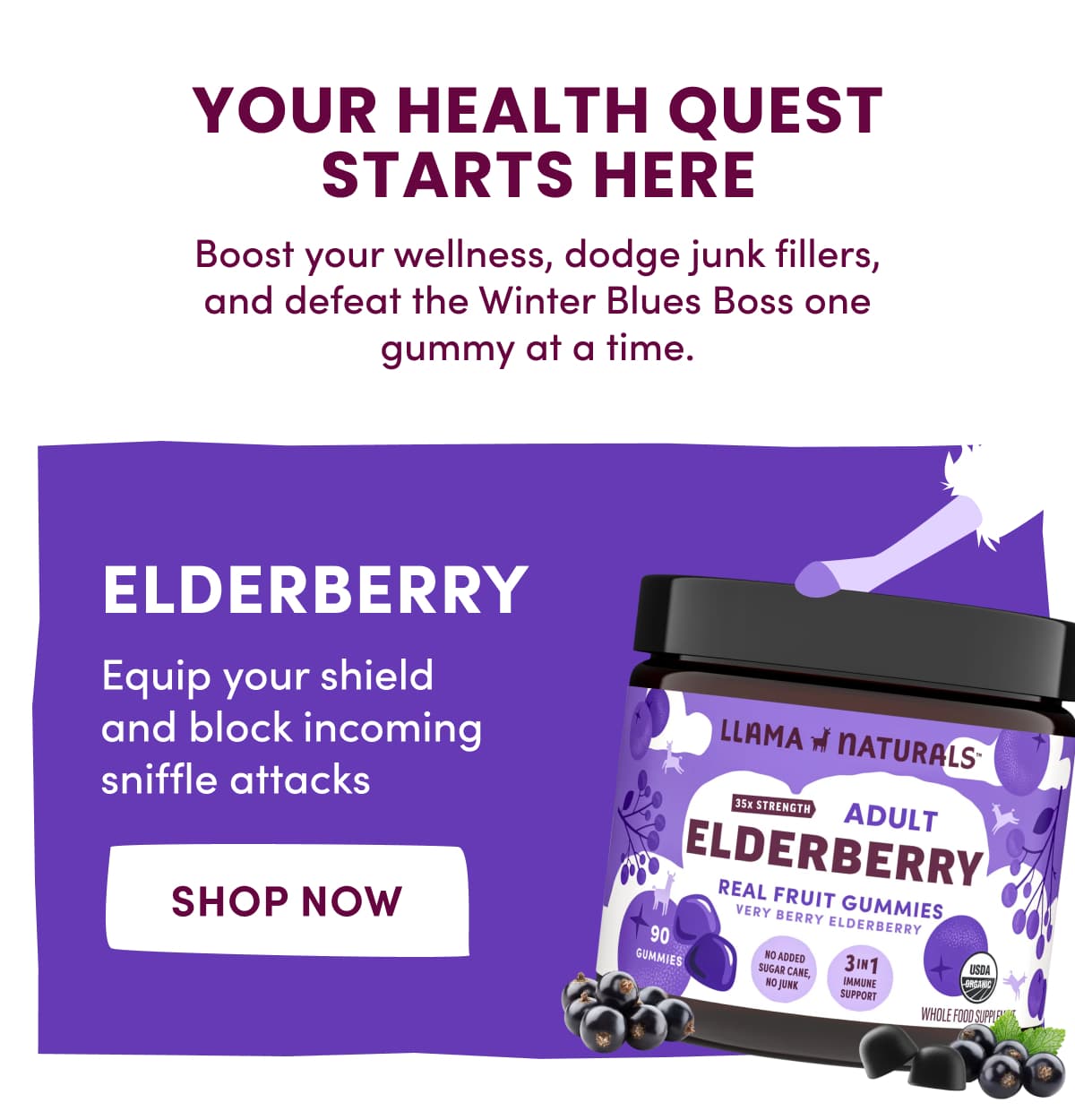 Your Health Quest Starts Here | Boost your wellness, dodge junk fillers, and defeat the Winter Blues Boss one gummy at a time. | Elderberry | Equip your shield and block incoming sniffle attacks | [ Shop Now ]