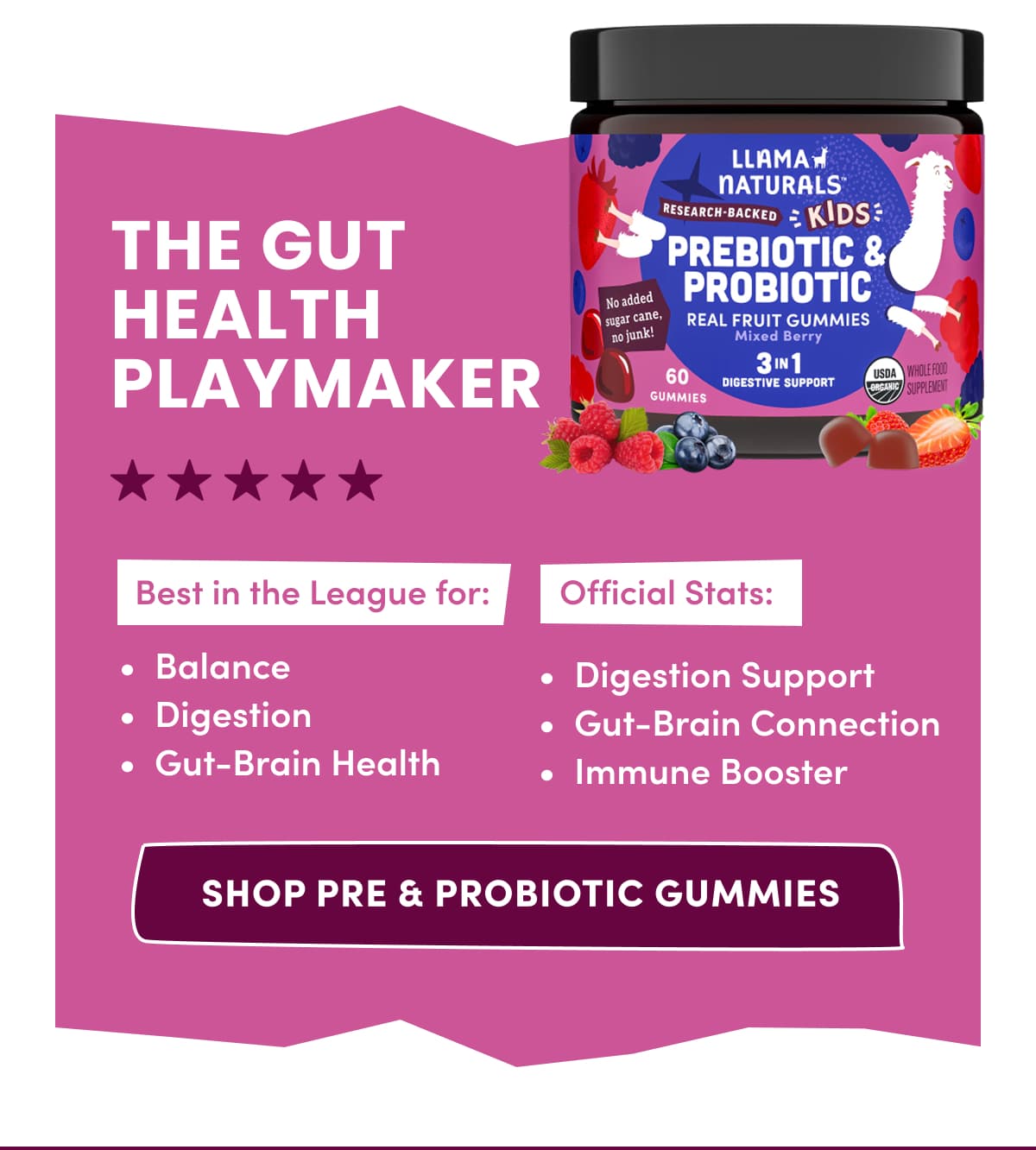 THE GUT HEALTH PLAYMAKER | SHOP Pre & Probiotic Gummies