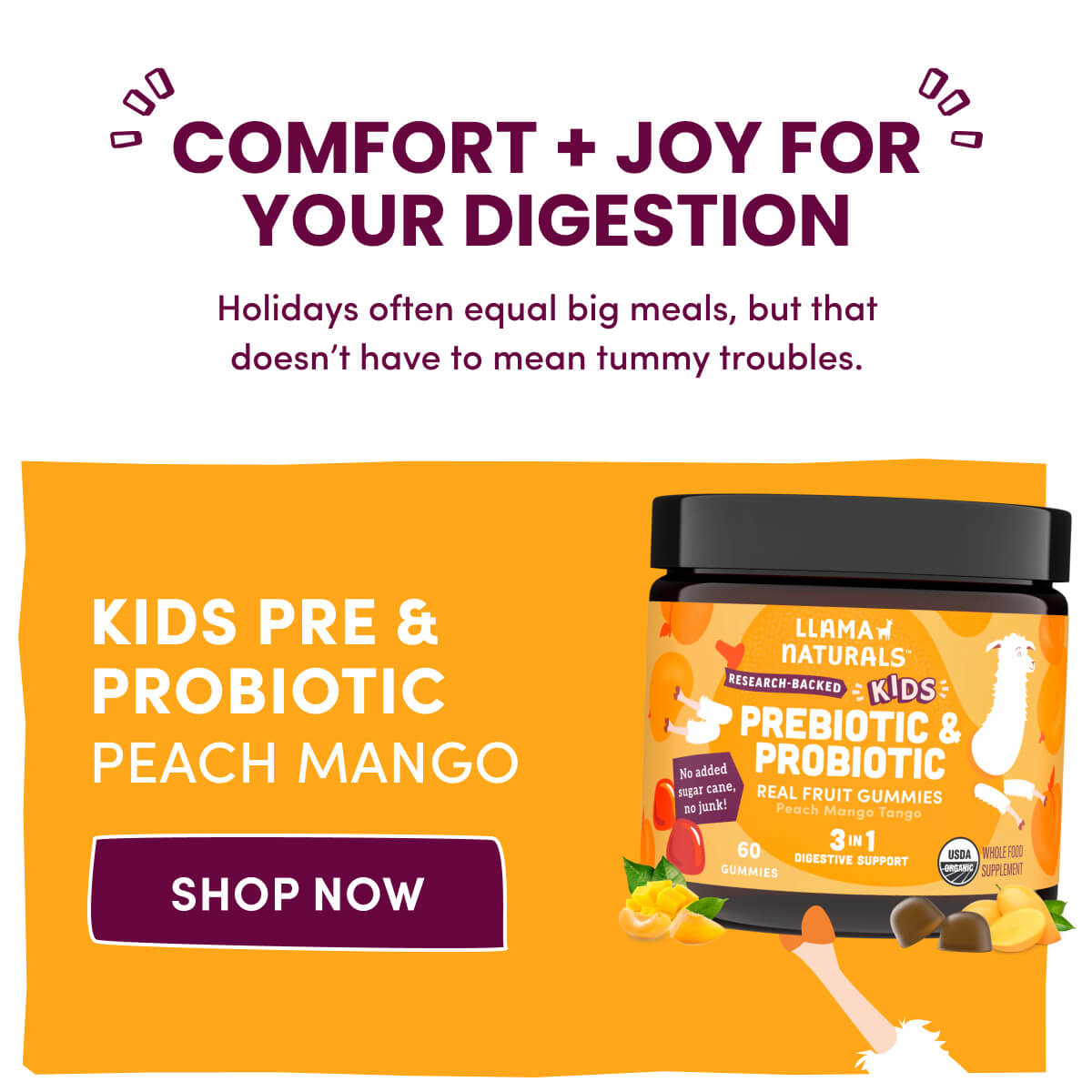 Comfort + Joy for your digestion | Holidays often equal big meals, but that doesn't have to mean tummy troubles. | Kids Pre & Probiotic Peach Mango | [ Shop Now ]
