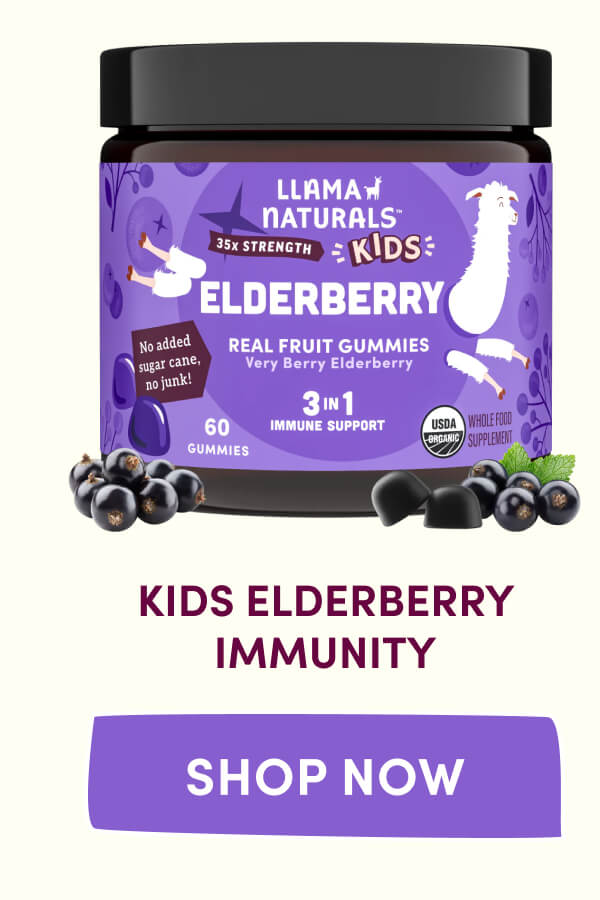 Kids Elderberry Immunity | [ SHOP NOW ]