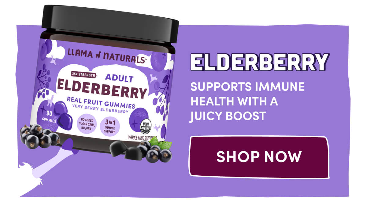 ELDERBERRY | Supports immune health with a juicy boost | [ SHOP NOW ]