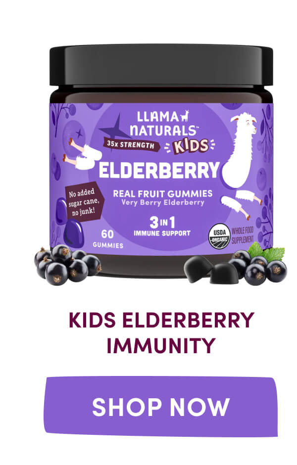 Kids Elderberry | [ Shop Now ]