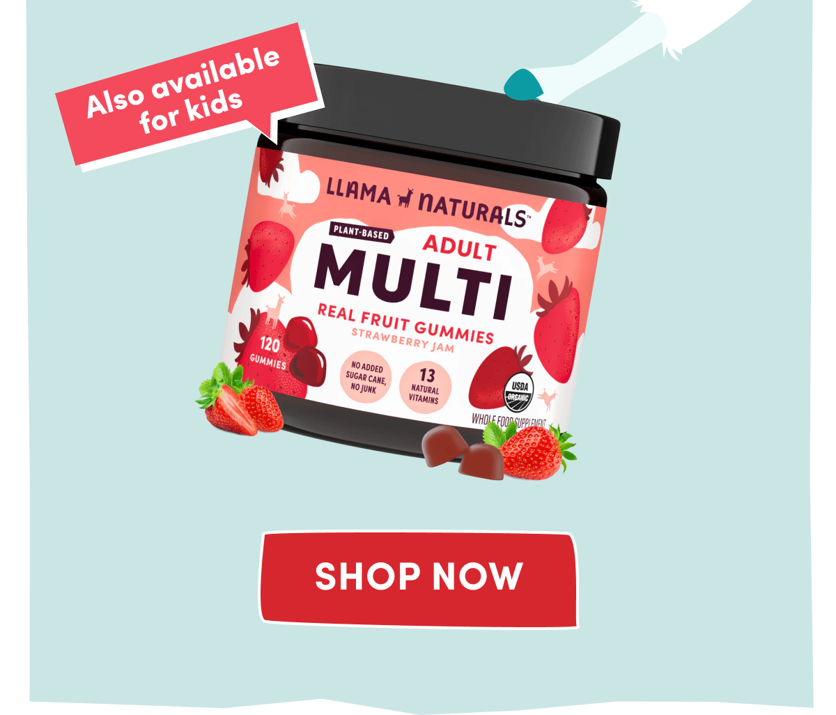 Adult Whole Food Multivitamin Gummies, Strawberry