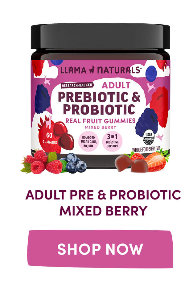 ADULT PRE & PROBIOTIC MIXED BERRY | [ SHOP NOW ]