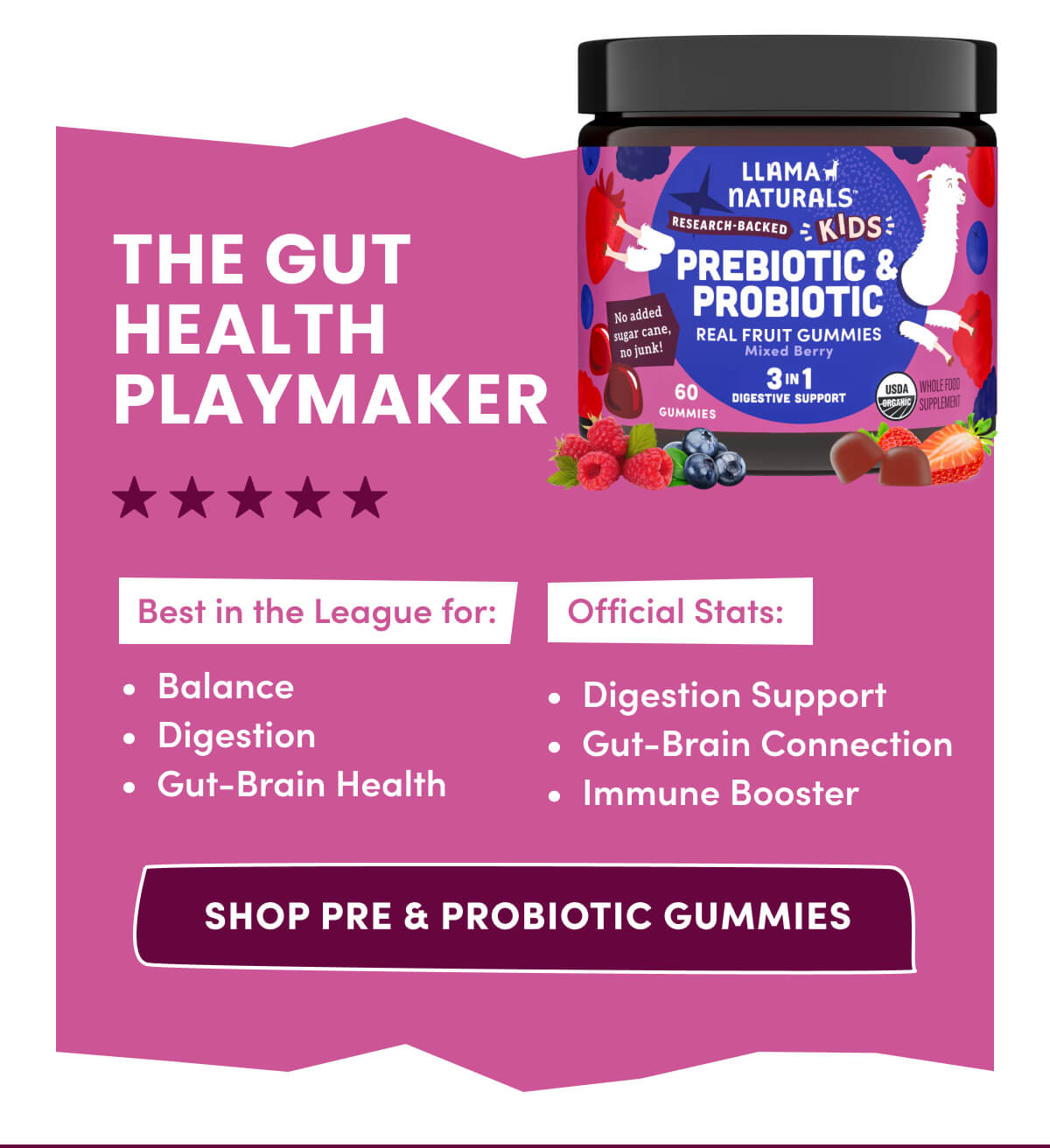 THE GUT HEALTH PLAYMAKER | Best in the League for: Balance | Digestion | Gut-Brain Health | Official Stats: Digestion Support | Gut-Brain Connection | Immune Booster | [ SHOP PRE & PROBIOTIC GUMMIES ]