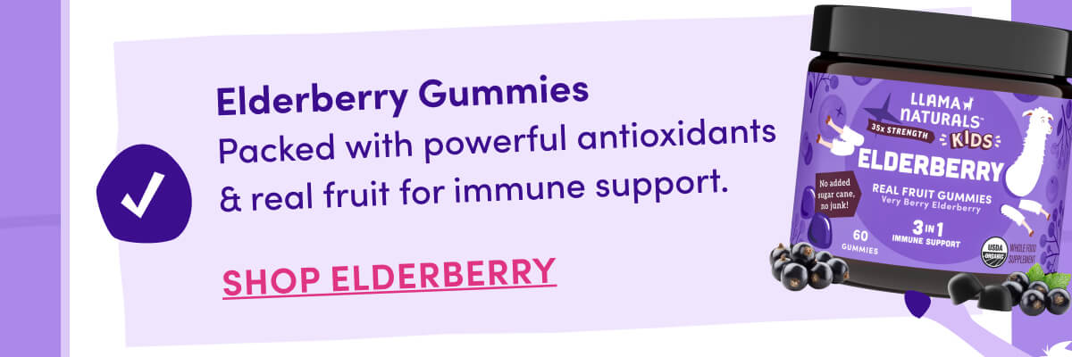Elderberry Gummies | Packed with powerful antioxidants & real fruit for immune support. | Shop Elderberry