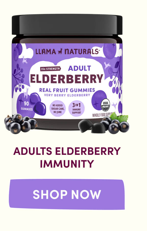 Adults Elderberry Immunity | [ SHOP NOW ]