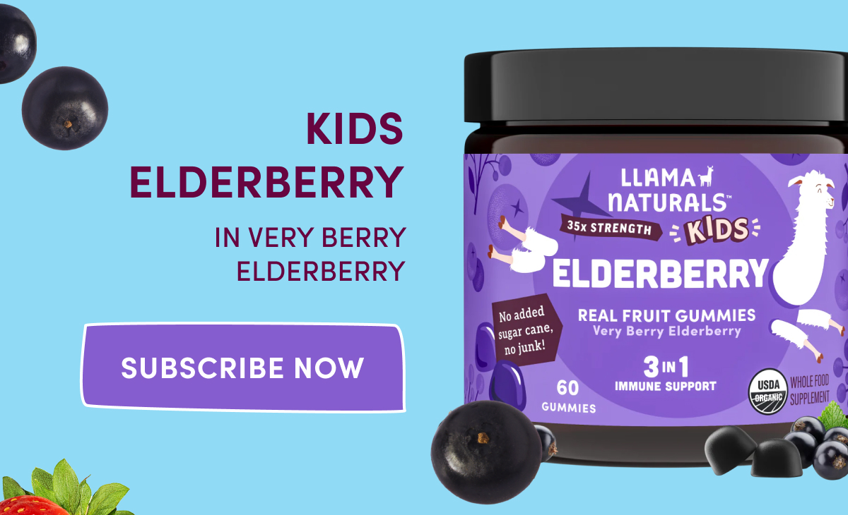 KIDS ELDERBERRY IN VERY BERRY ELDERBERRY | SUBSCRIBE NOW