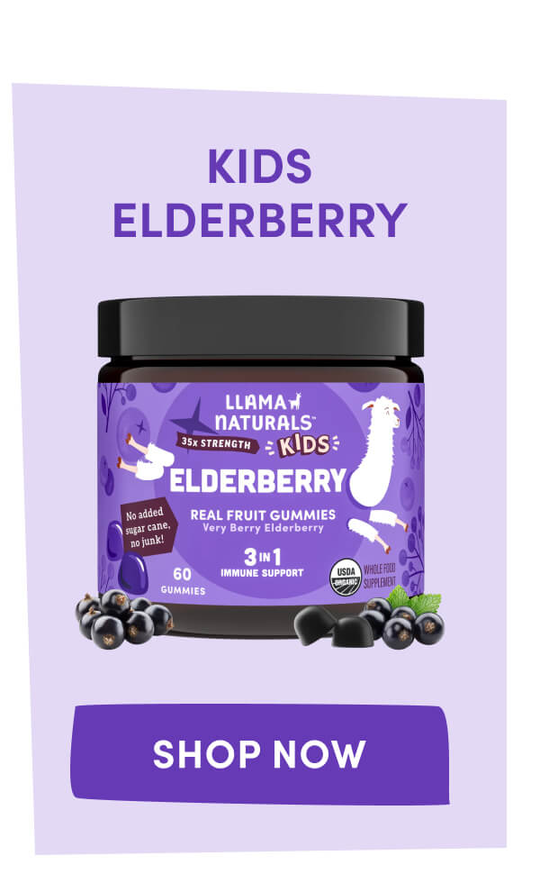 Kids Elderberry | [ Shop Now ]