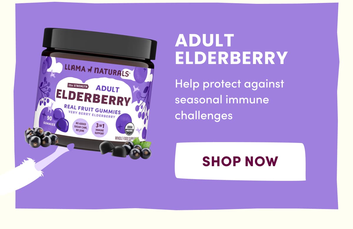 Adult Elderberry | Help protect against seasonal immune challenges | SHOP NOW