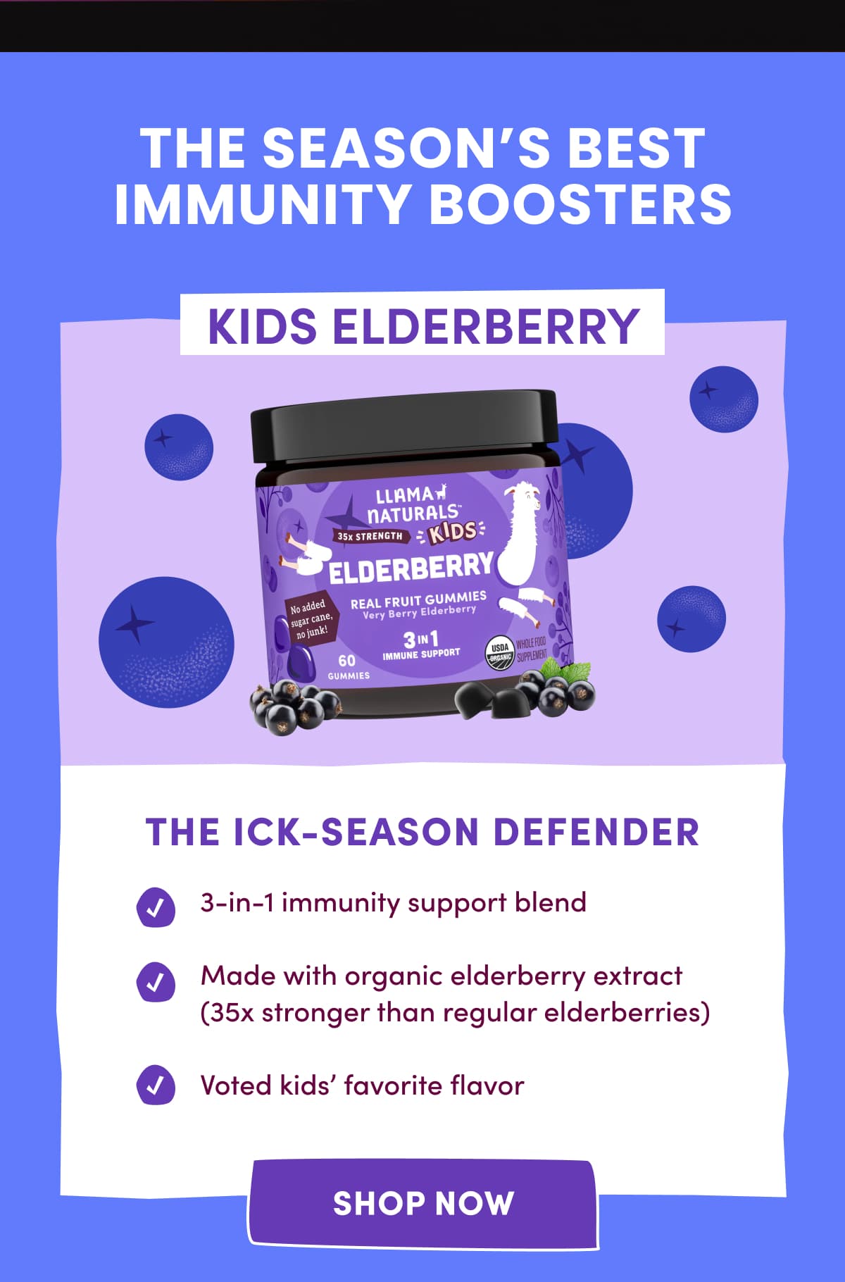 THE SEASON'S BEST IMMUNITY BOOSTERS | KIDS ELDERBERRY | the ick-season defender | shop now