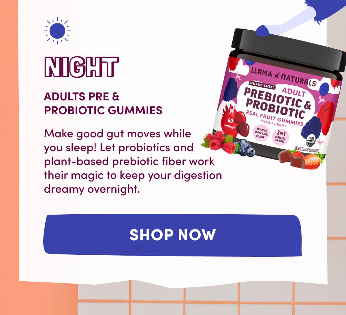 NIGHT | Adults Pre & Probiotic Gummies | Make good gut moves while you sleep! Let probiotics and plant-based prebiotic fiber work their magic to keep your digestion dreamy overnight. | [ SHOP NOW ]