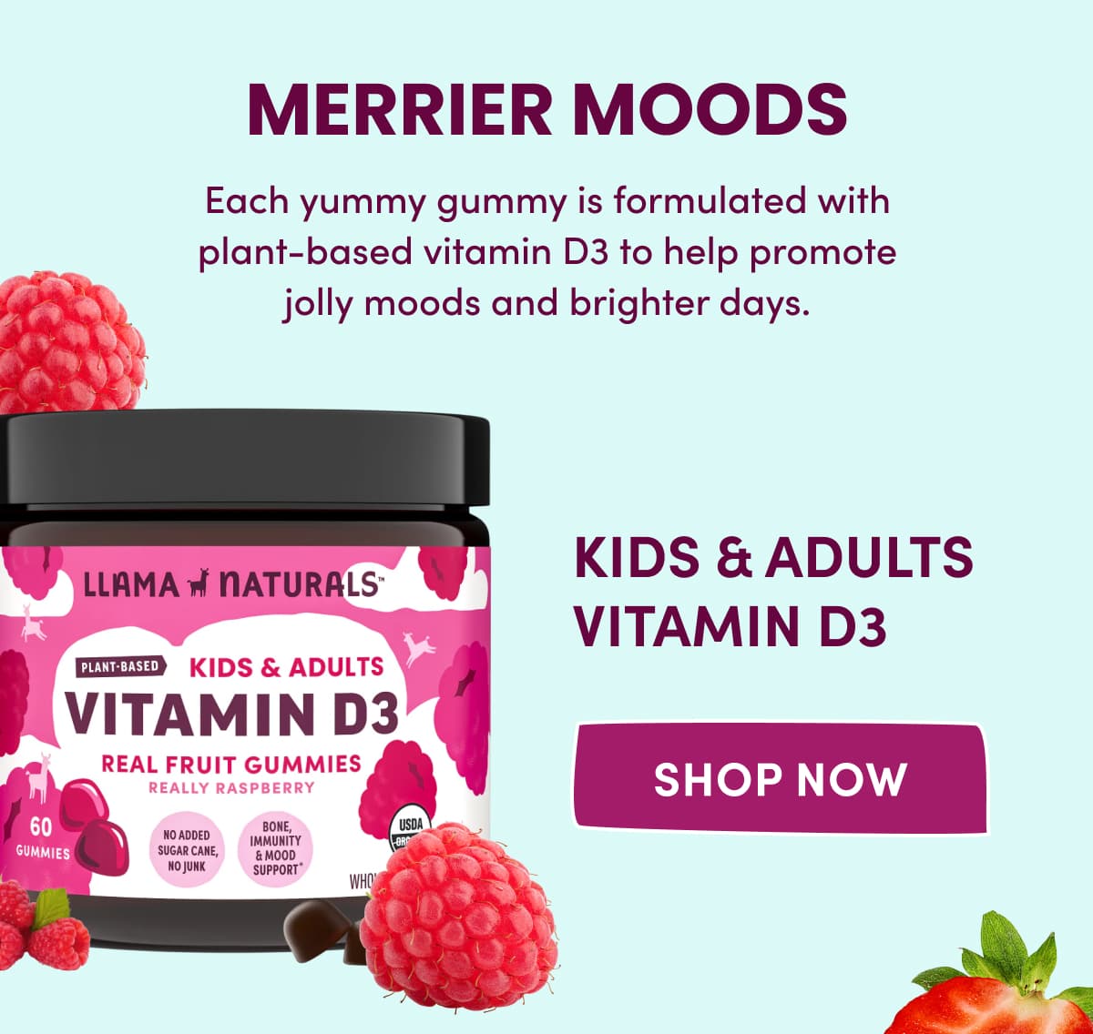 MERRIER MOODS | Each yummy gummy is formulated with plant-based vitamin D3 to help promote jolly moods and brighter days. | KIDS & ADULTS VITAMIN D3 | Shop Now