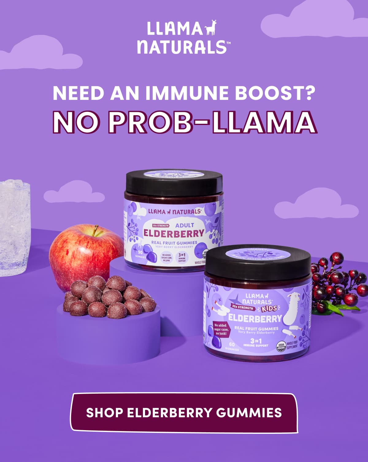 Llama Naturals | Need an Immune Boost? NO PROB-LLAMA | SHOP ELDERBERRY GUMMIES
