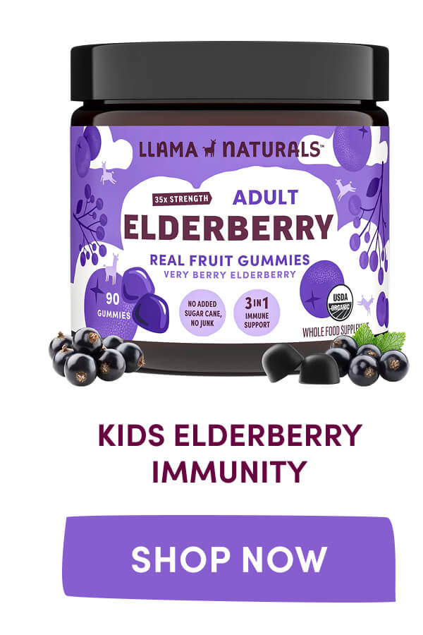 KIDS ELDERBERRY IMMUNITY | [ SHOP NOW ]
