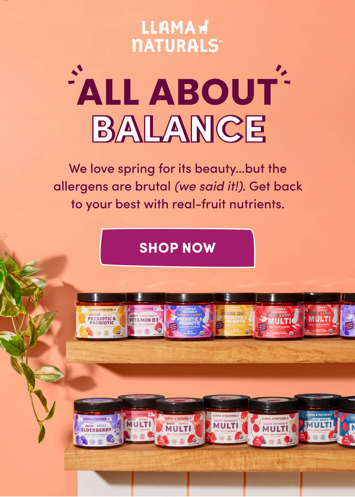 Llama Naturals | ALL ABOUT BALANCE | We love spring for its beauty…but the allergens are brutal (we said it!). Get back to your best with real-fruit nutrients. | [ SHOP NOW ]