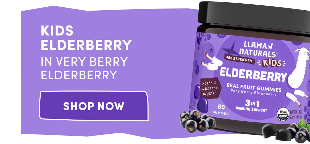 Kids Elderberry in Very Berry Elderberry | [ SHOP NOW ]