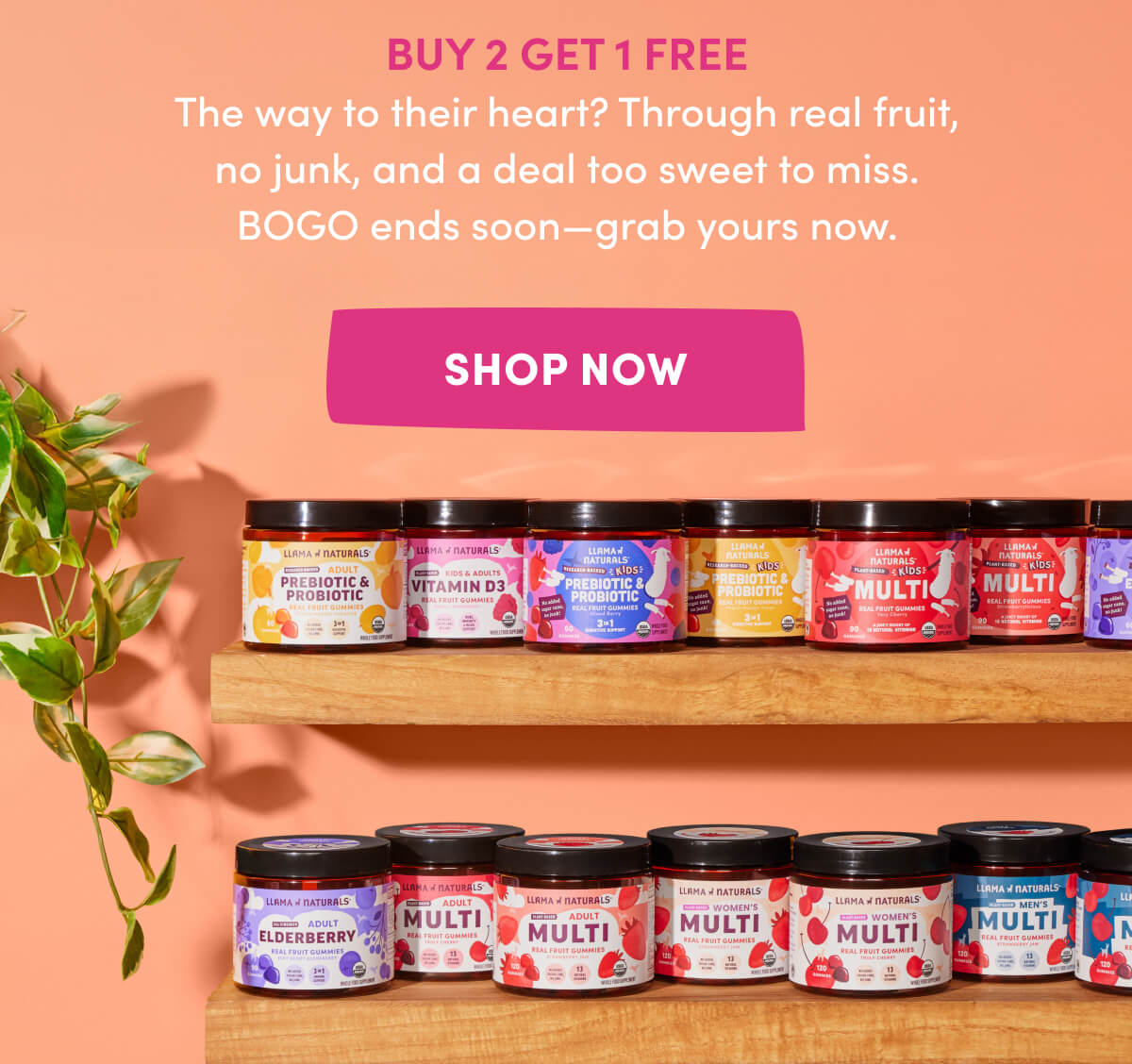BUY 2 GET 1 FREE | The way to their heart? Through real fruit, no junk, and a deal too sweet to miss. BOGO ends soon—grab yours now. | [ Shop Now ]
