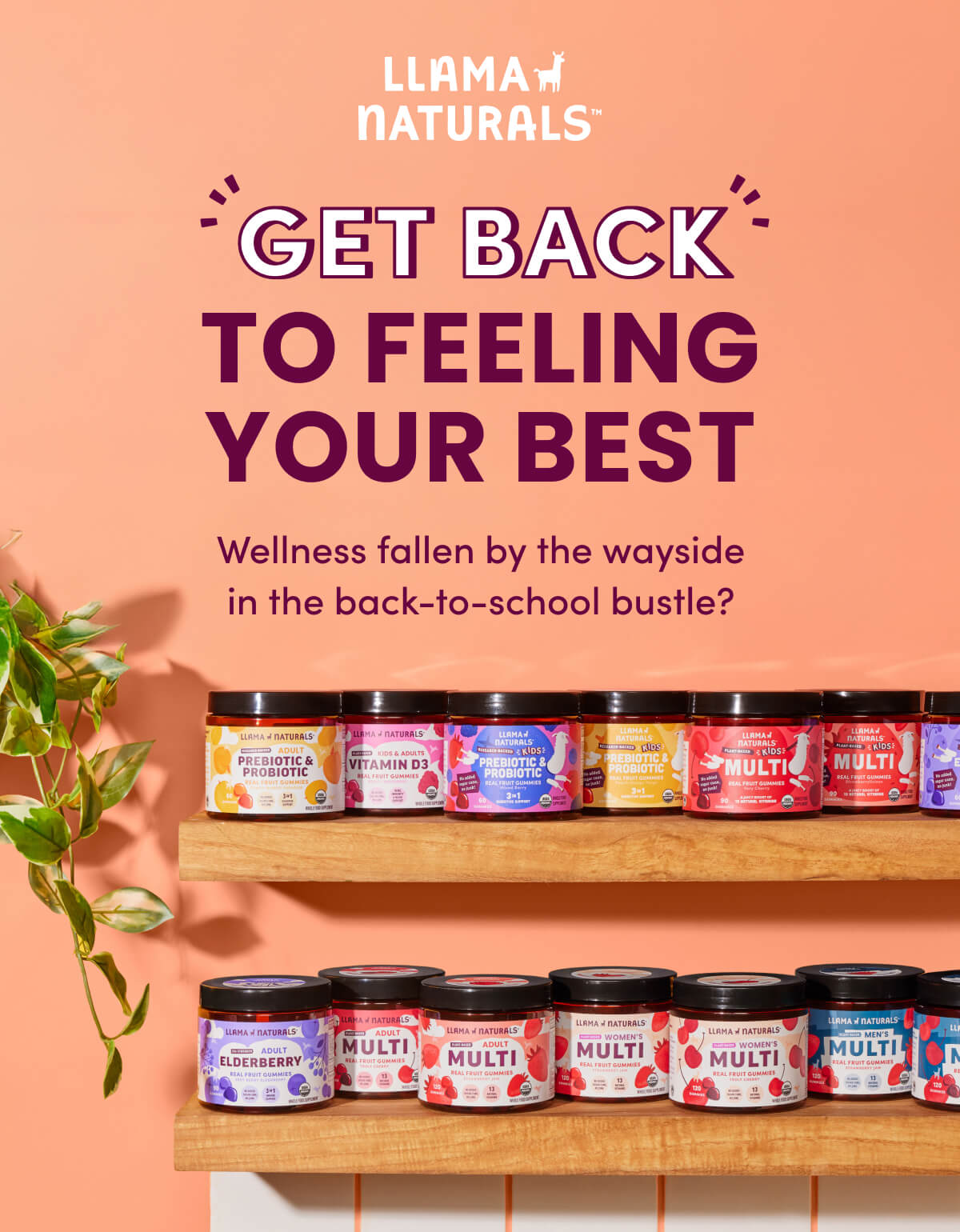 Llama Naturals | GET BACK TO FEELING YOUR BEST | Wellness fallen by the wayside in the back-to-school bustle?
