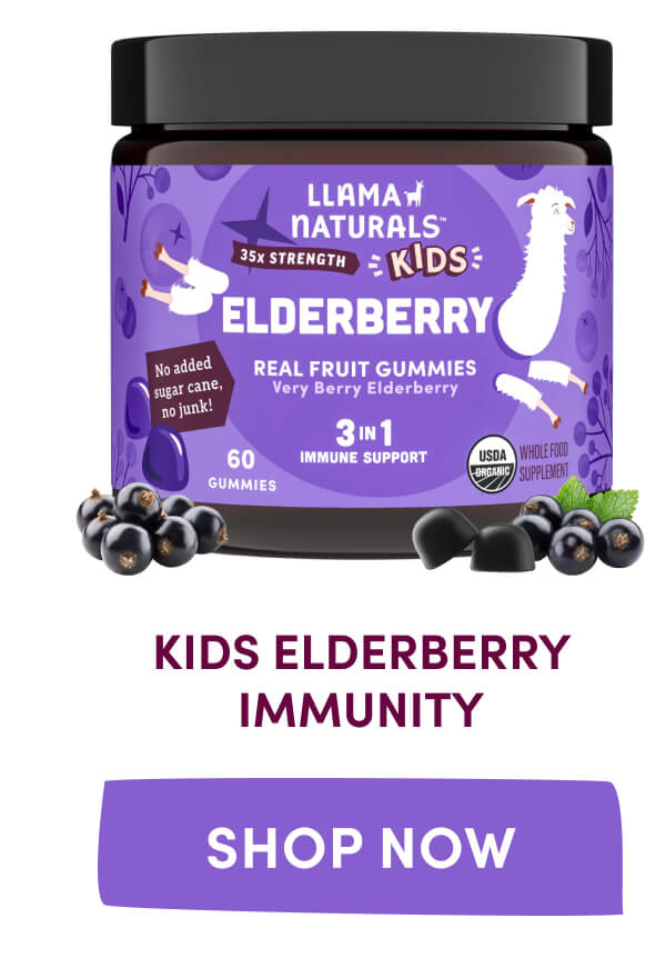 KIDS ELDERBERRY IMMUNITY | [ SHOP NOW ]