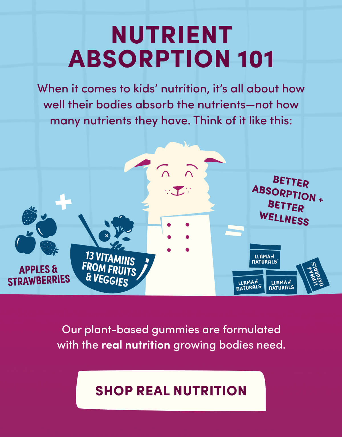 NUTRIENT ABSORPTION 101 | When it comes to kids' nutrition, it's all about how well their bodies absorb the nutrients—not how many nutrients they have. Think of it like this: Our plant-based gummies are formulated with the real nutrition growing bodies need. | [ SHOP REAL NUTRITION ]