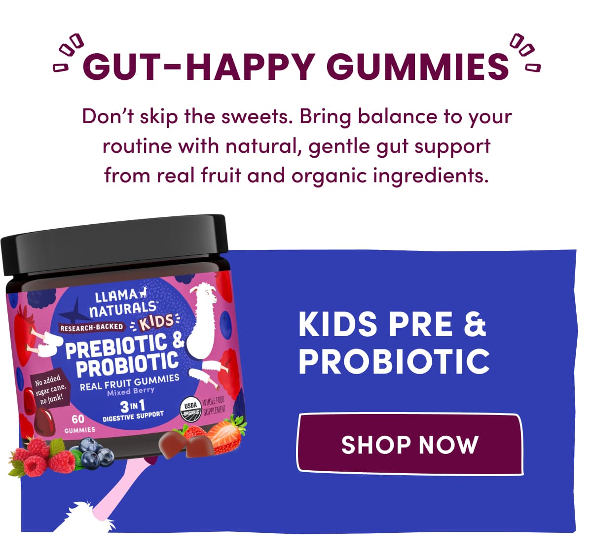 GUT-HAPPY GUMMIES | Don't skip the sweets. Bring balance to your routine with natural, gentle gut support from real fruit and organic ingredients. | KIDS PRE & PROBIOTIC | Shop Now