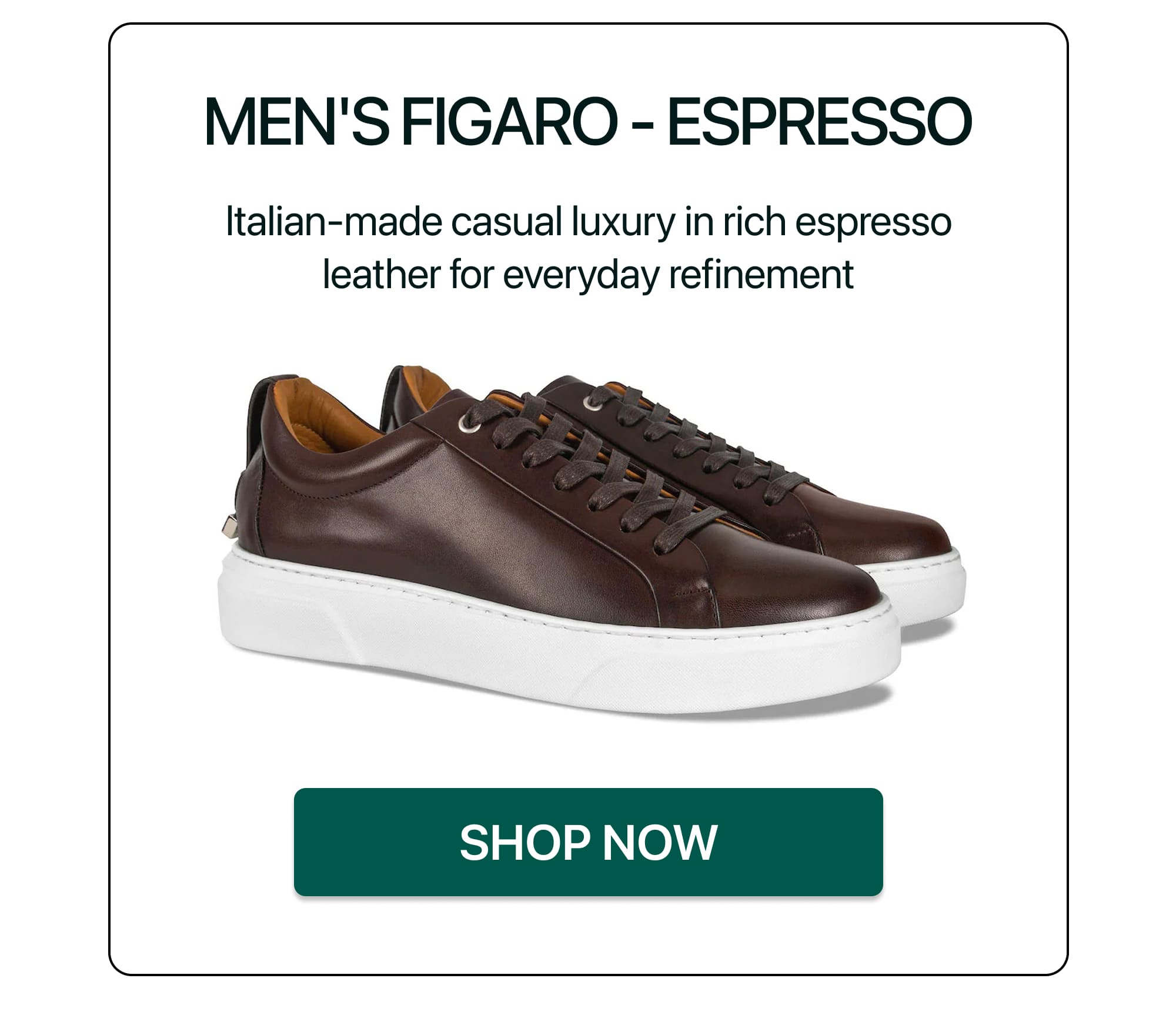 MEN'S FIGARO - ESPRESSO