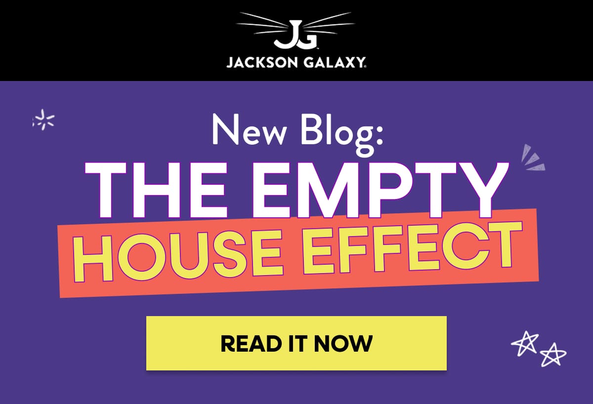 New Blog: the empty house effect