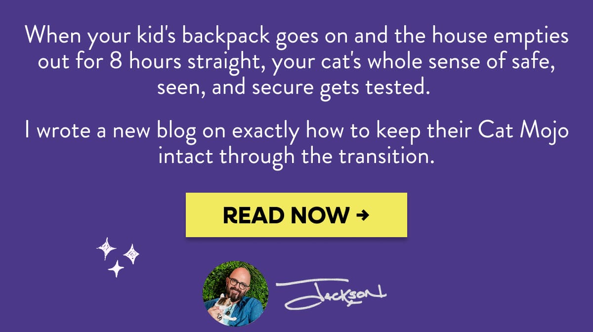 When your kid's backpack goes on and the house empties out for 8 hours straight, your cat's whole sense of safe, seen, and secure gets tested. I wrote a new blog on exactly how to keep their Cat Mojo intact through the transition.