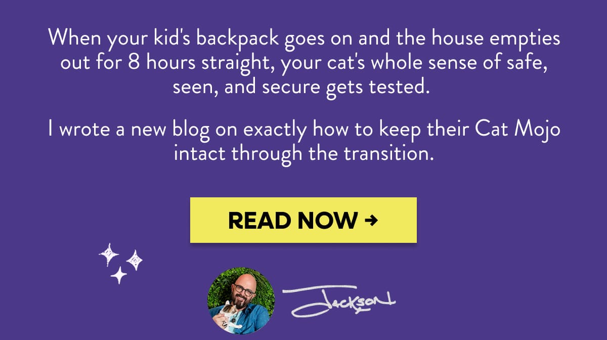 When your kid's backpack goes on and the house empties out for 8 hours straight, your cat's whole sense of safe, seen, and secure gets tested.  I wrote a new blog on exactly how to keep their Cat Mojo intact through the transition.
