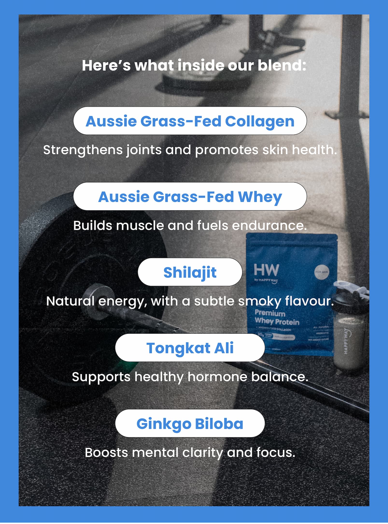 Here's what inside our blend:  Aussie Grass-Fed Collagen:  Strengthens joints and promotes skin health. Aussie Grass-Fed Whey:  Builds muscle and fuels endurance. Shilajit:  Natural energy, with a subtle smoky flavour.  Tongkat Ali:  Supports healthy hormone balance. Ginkgo Biloba:  Boosts mental clarity and focus.