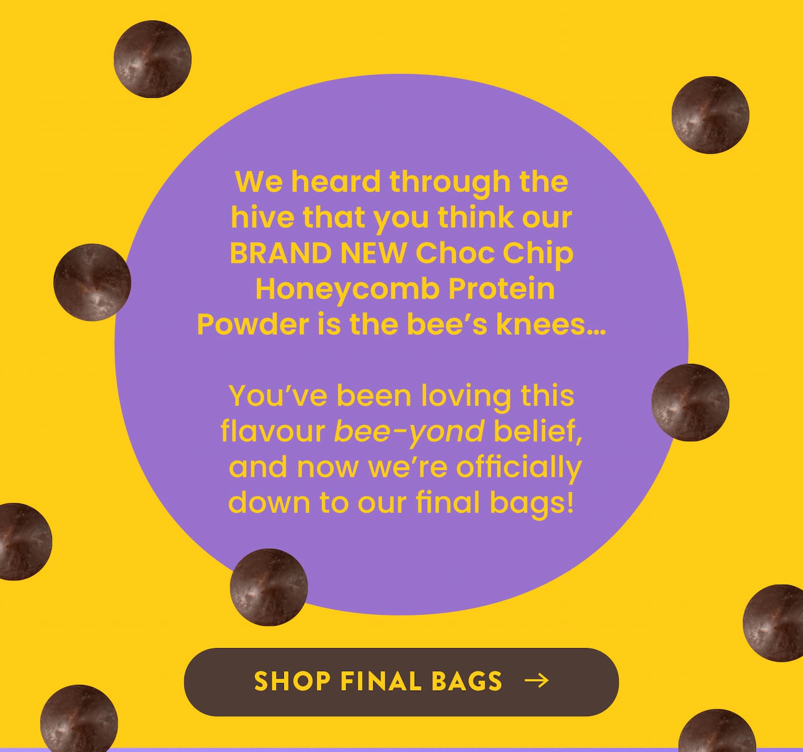 We heard through the hive  that you think our BRAND NEW Choc Chip  Honeycomb Protein Powder is the bee's knees...   You've been loving this flavour bee-yond belief,  and now we're officially down to our final bags!  SHOP FINAL BAGS