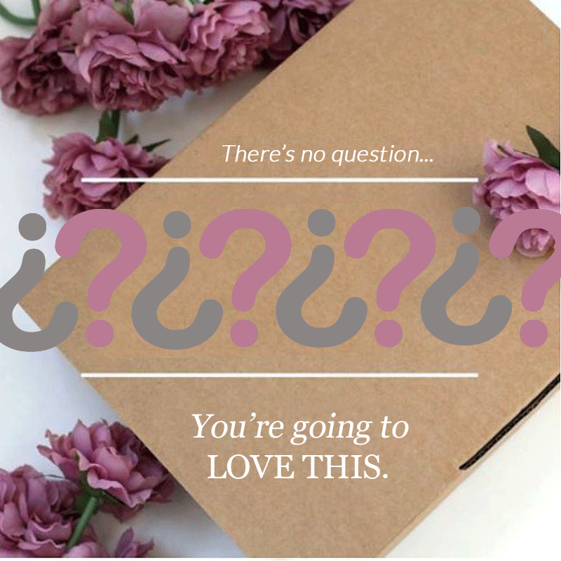 Love a good surprise? Mystery Boxes are Back! Brynn Capella