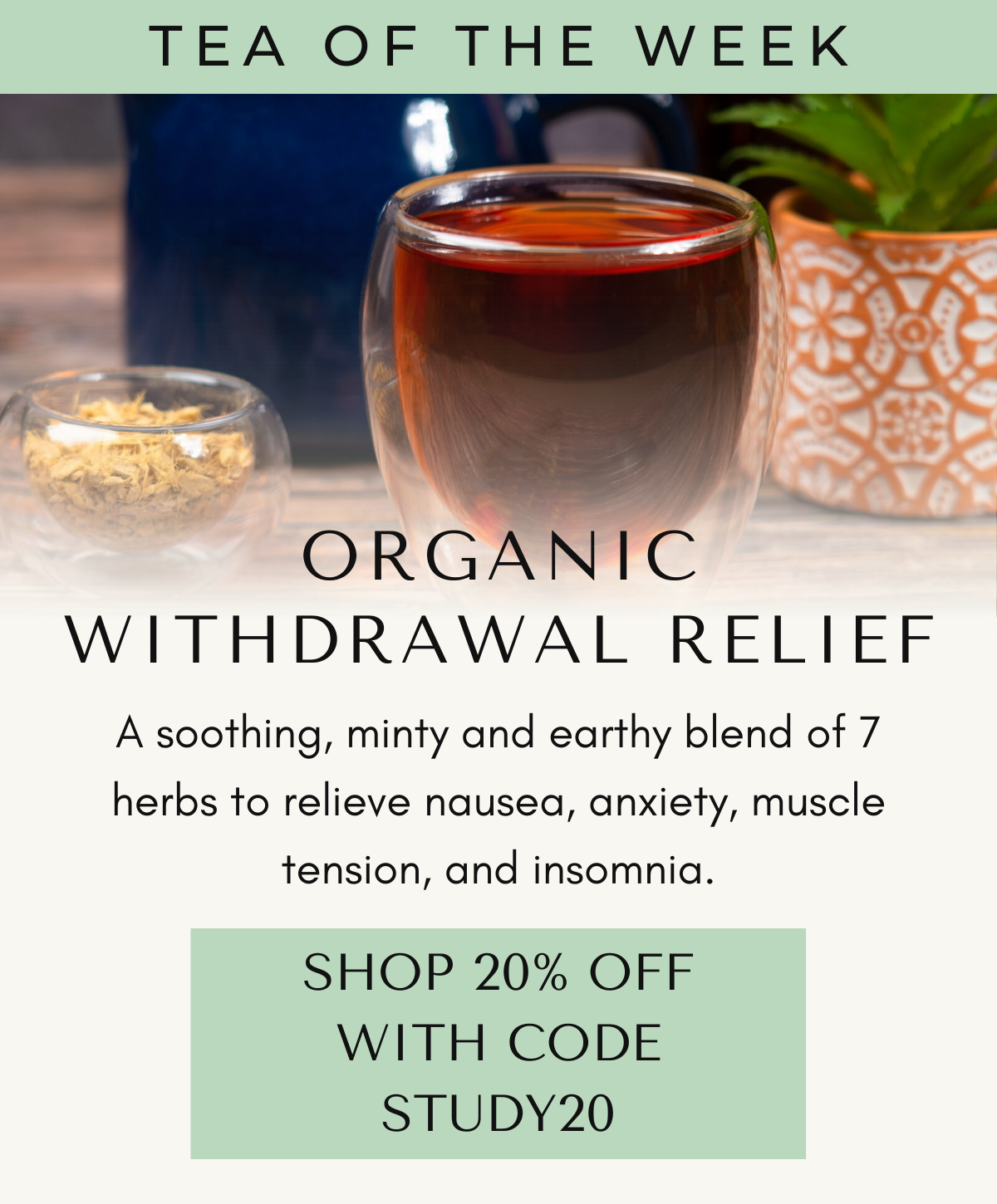 Organic Withdrawal Relief 🌿 Tea of the Week Full Leaf Tea Company