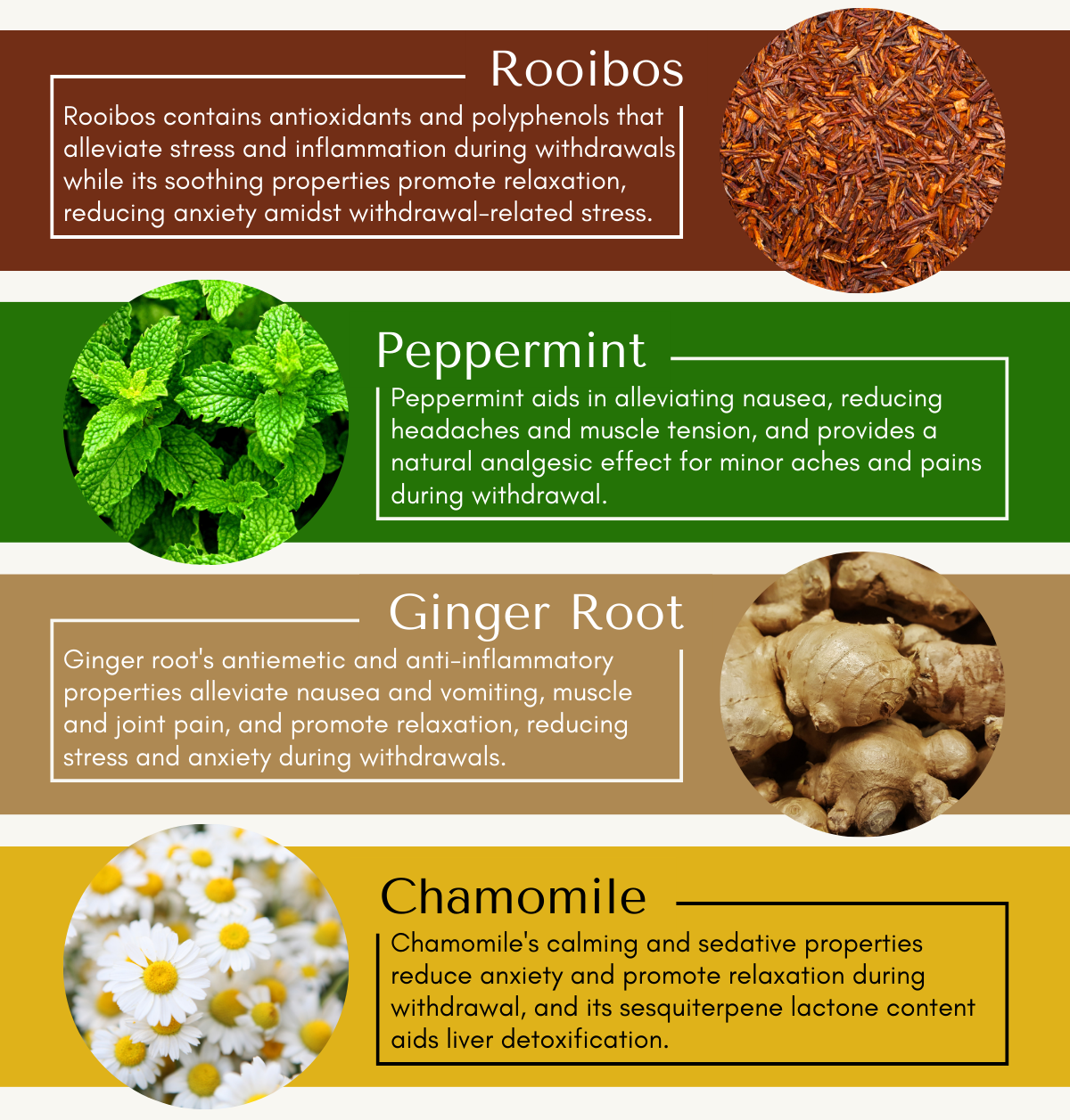 Organic Withdrawal Relief 🌿 Tea of the Week Full Leaf Tea Company